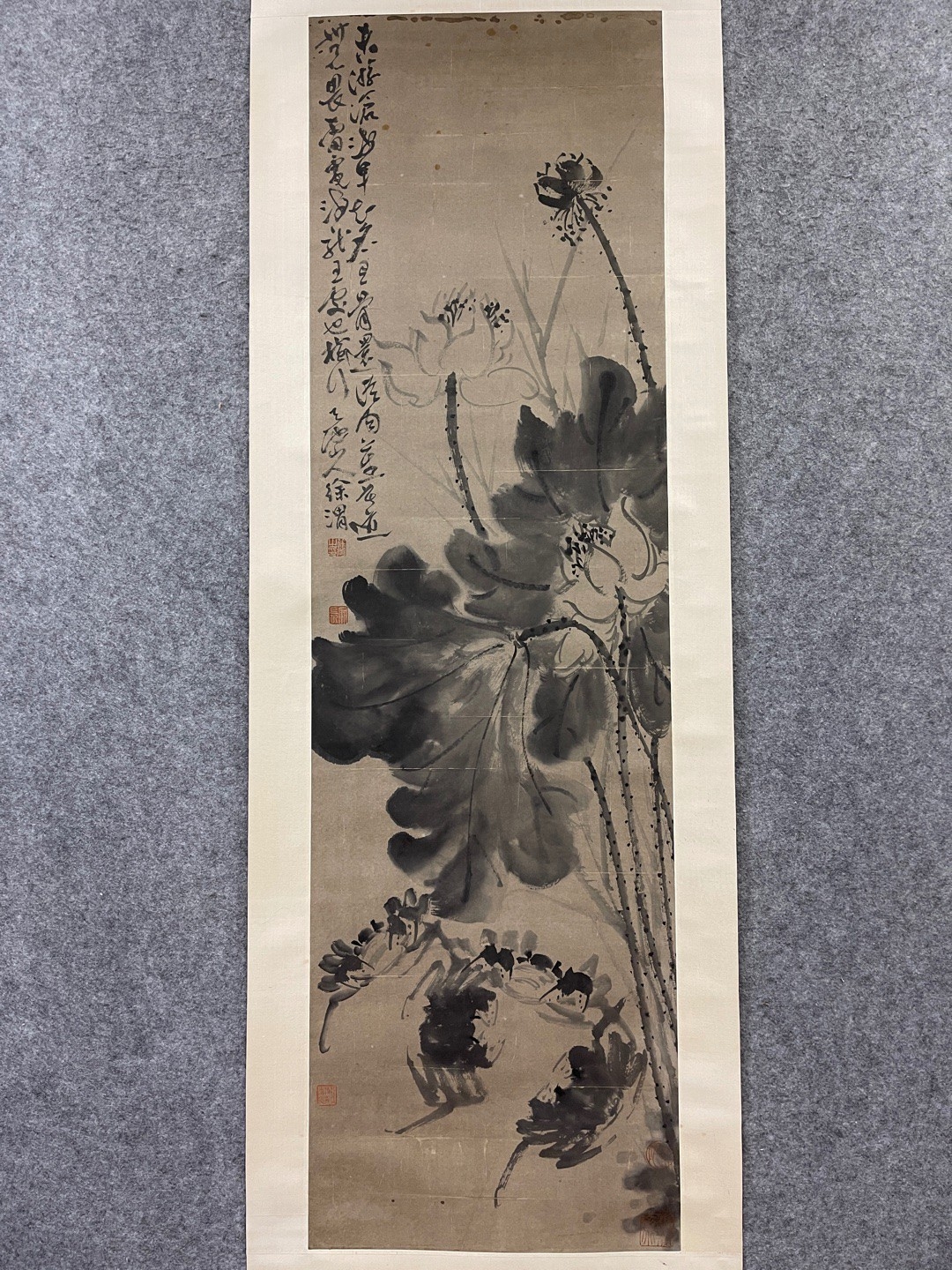 徐渭 荷蟹图 纸本立轴 画芯尺寸:137*40cm#古玩# #晒晒我的收藏