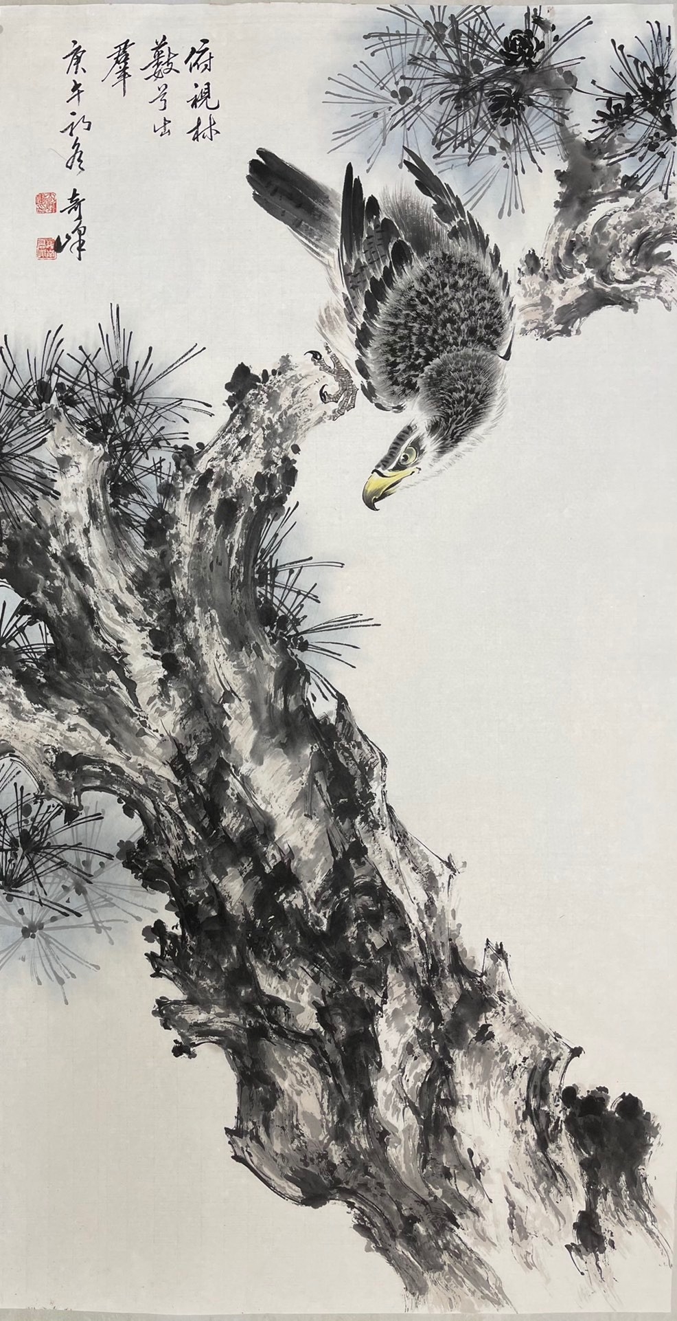 高奇峰, 精品花鸟,尺寸100x53cm#博物馆# #艺术古董收藏品鉴赏# #晒晒