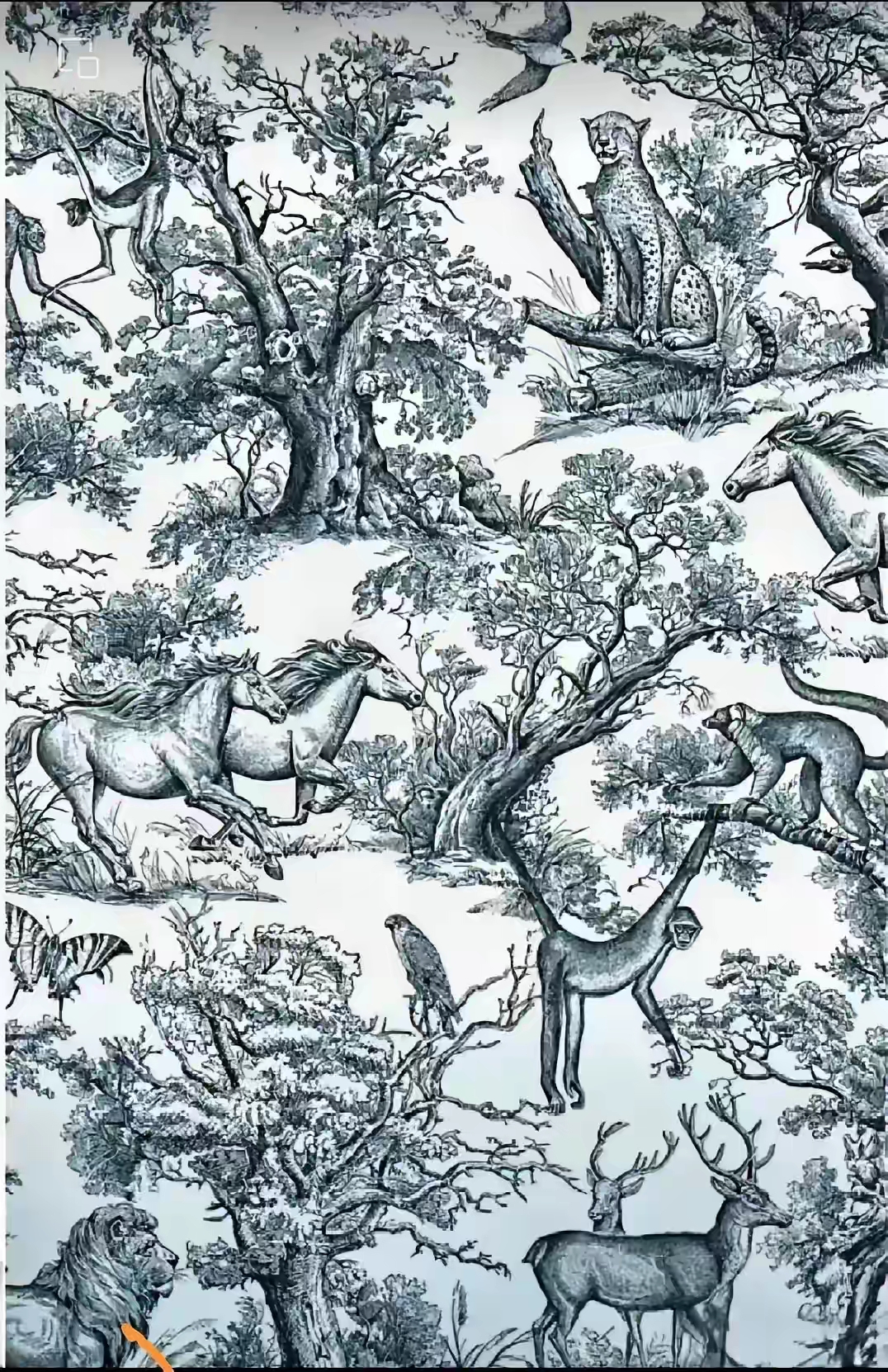 考眼力,找人脸.下面这张图中是所有动物园在开会吗?