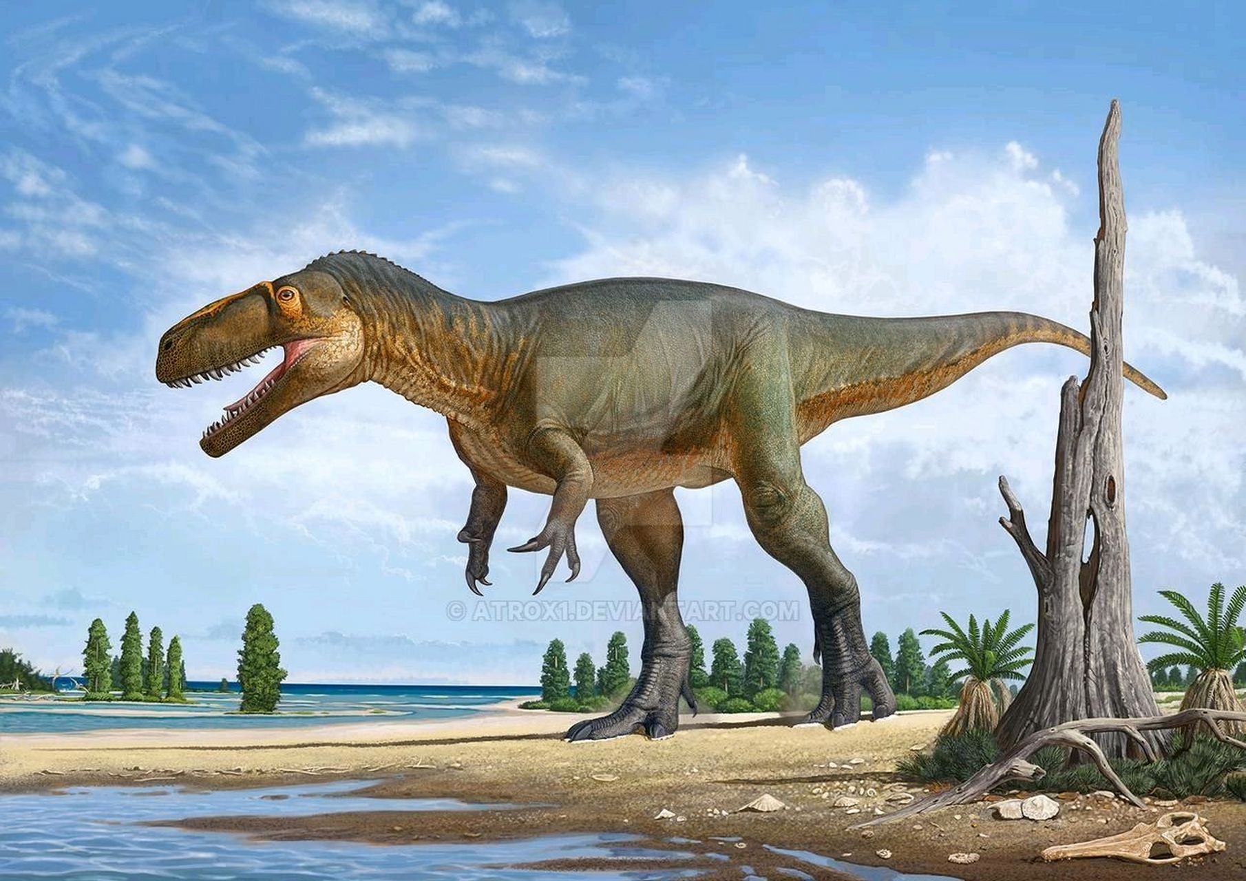 虽然巨齿龙的前腿比较短小,但在前脚趾的末端长着如同小钩子一样的爪.