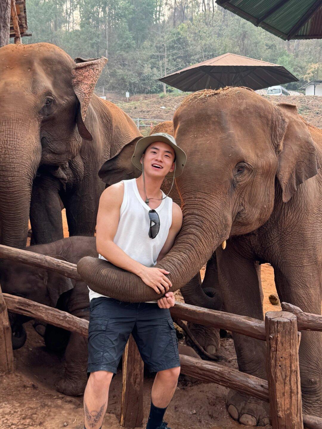 头戴太阳帽,笑容满面地拥抱着大象的鼻子,仿佛是在告诉我们:与