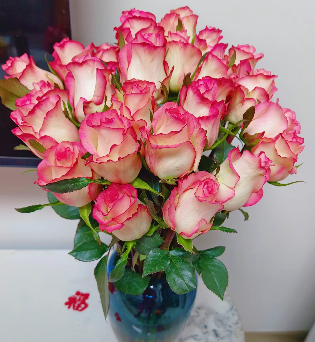 一束粉色玫瑰,静静绽放于蓝色的花瓶中,与灰色的底座形成完美的色彩