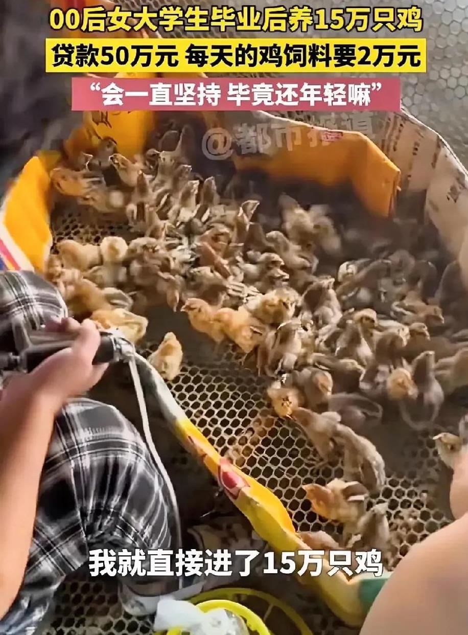 借鸡生蛋的生意有哪些呢(借鸡生蛋的生意有哪些呢英语)
