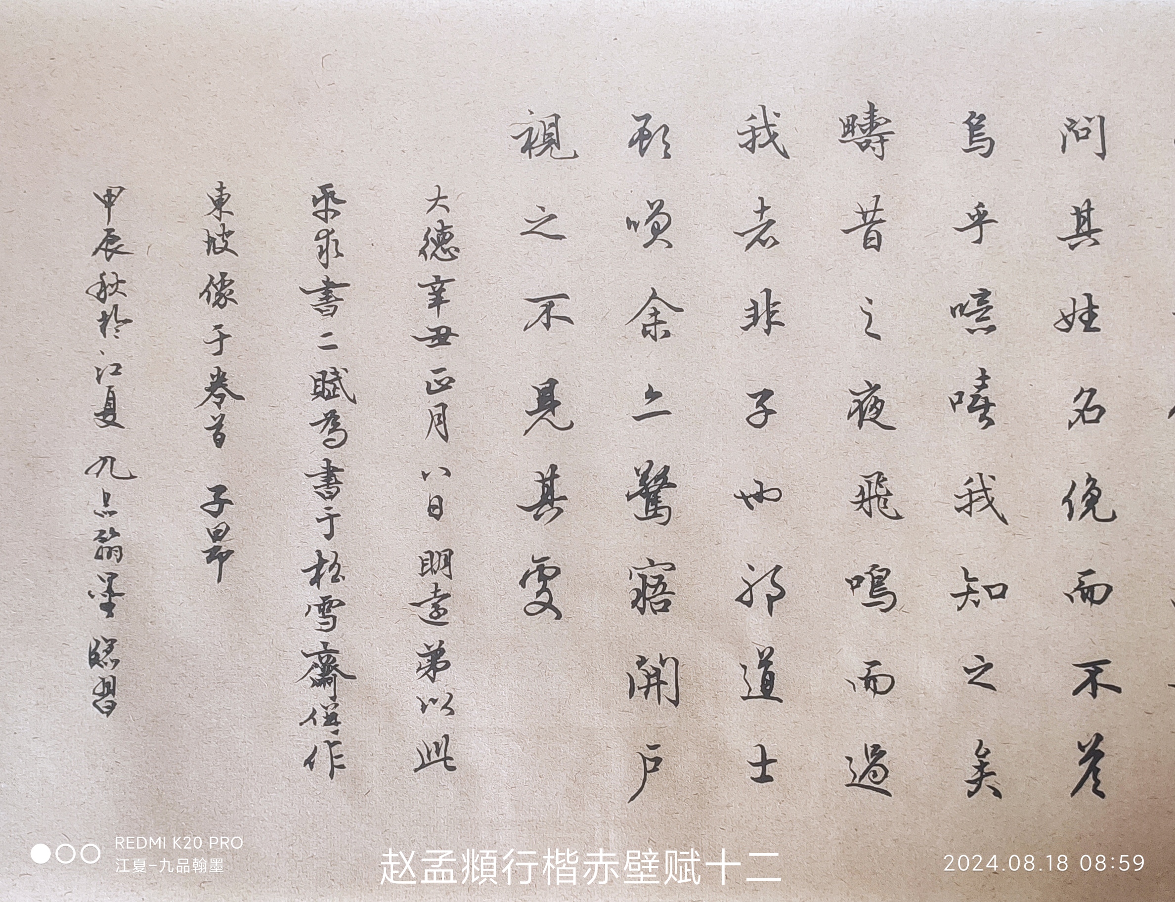 练习赵楷八至十二