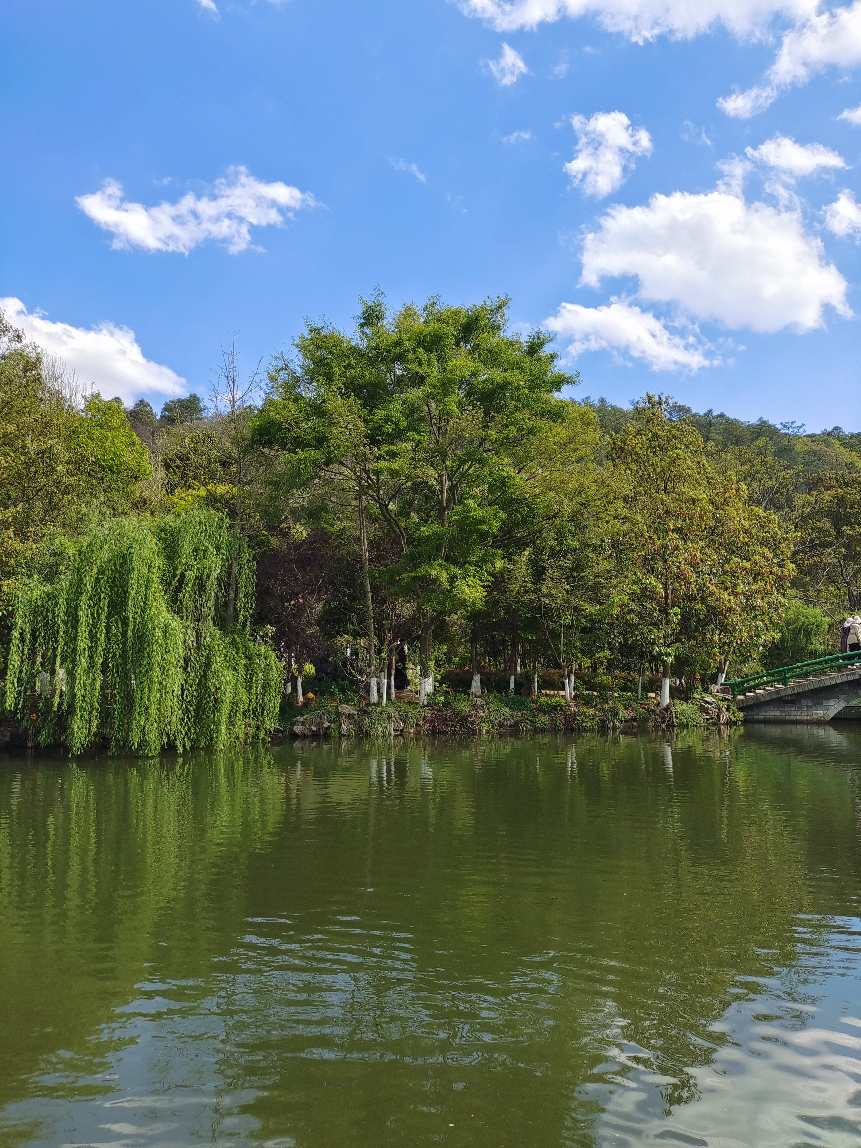 距昆明市中心40公里,公园占地66公顷,植物储备占地上千亩,居滇池盘龙