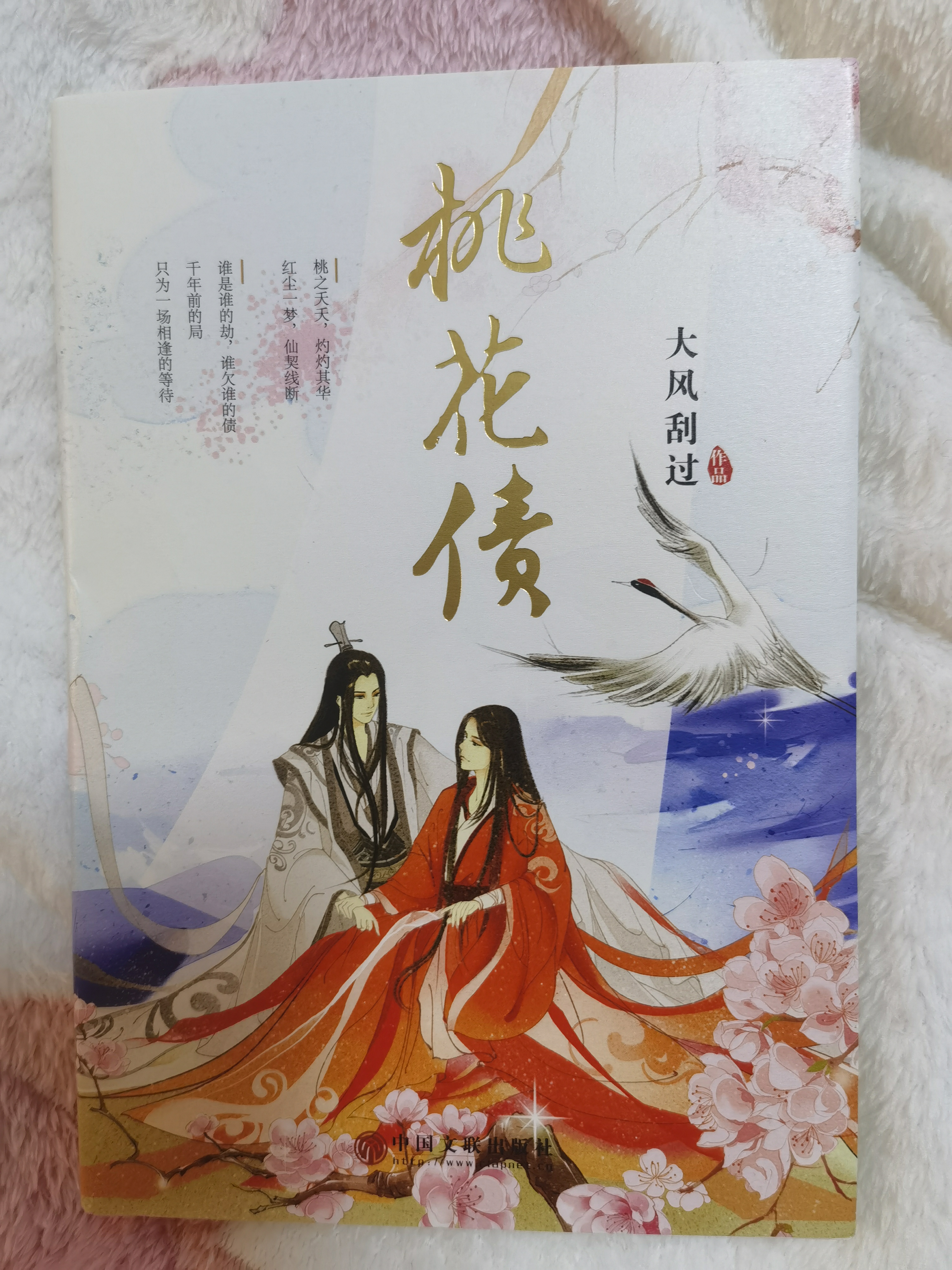 桃花债《大风刮过》