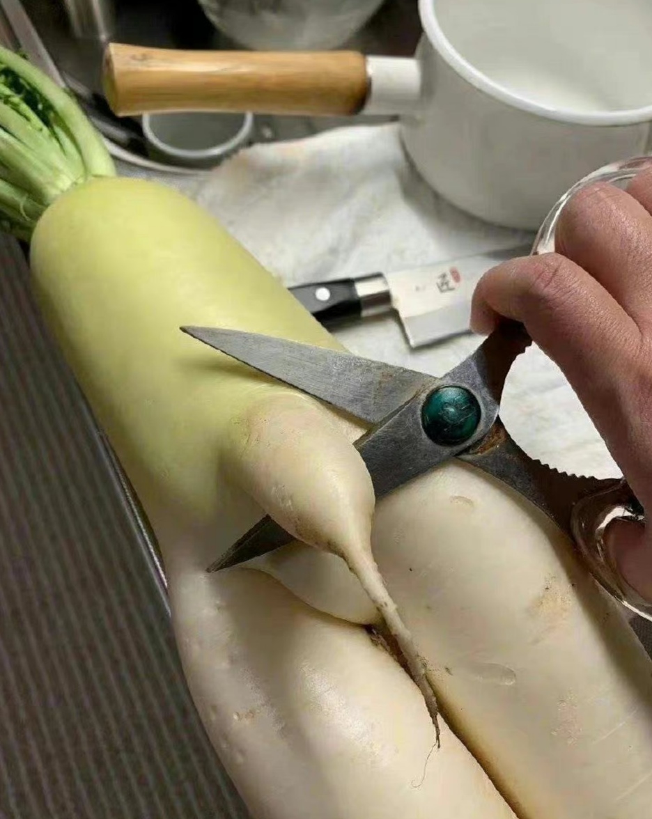 如果管不住自己的金针菇,那还是剪了吧.割以永治