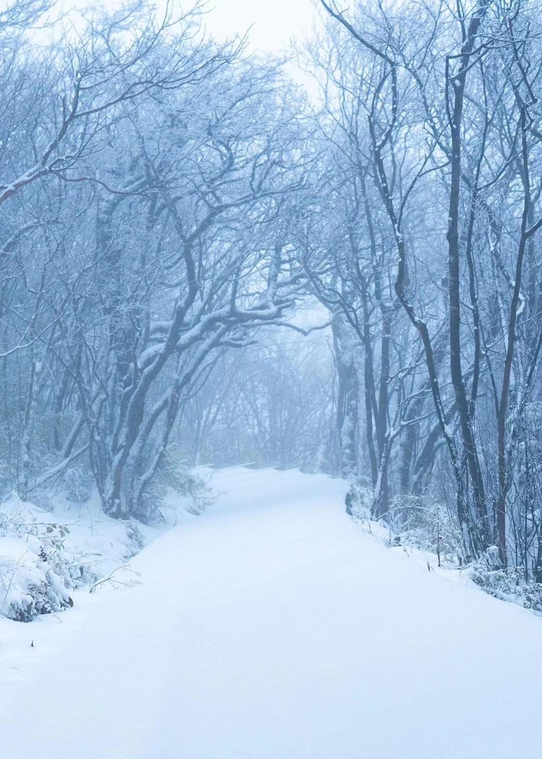 窗外大雪纷飞,雪花随风飘落