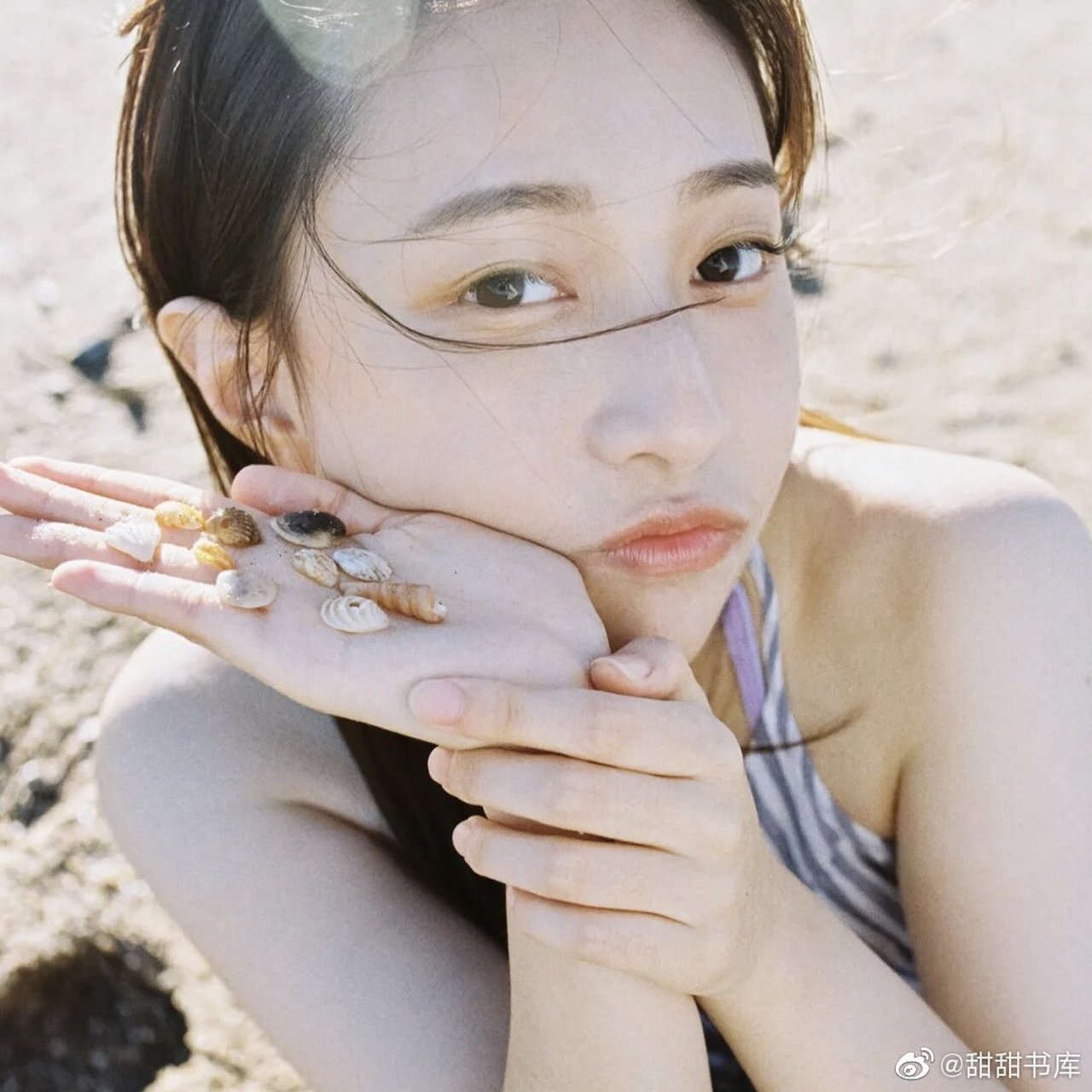 项思醒65页ppt下载(2023已更新(重大/知乎)-第1张图片-西安论坛资讯