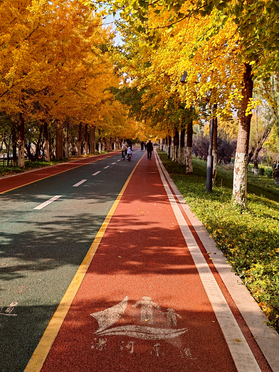 漯河市沙澧河风景区. 佳友金鱼交流群:lylijin.