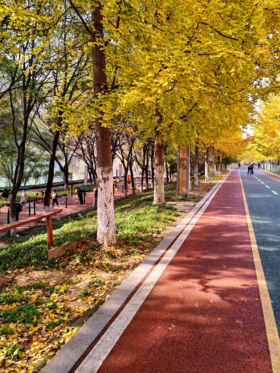 漯河市 风景图片