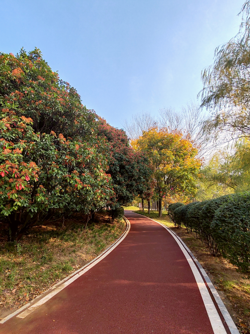 漯河市沙澧河风景区. 佳友金鱼交流群:lylijin.