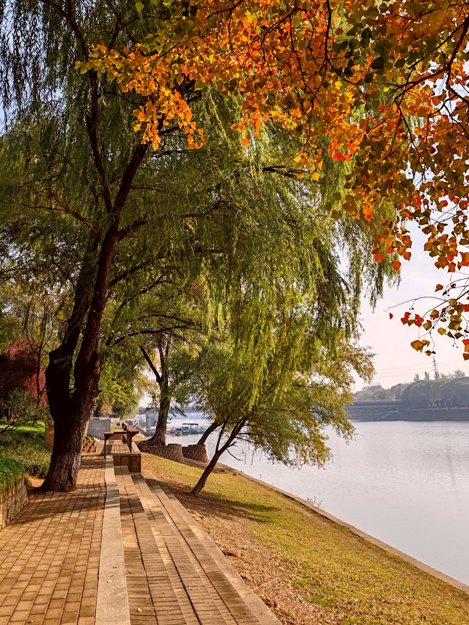 漯河市沙澧河风景区. 佳友金鱼交流群:lylijin.