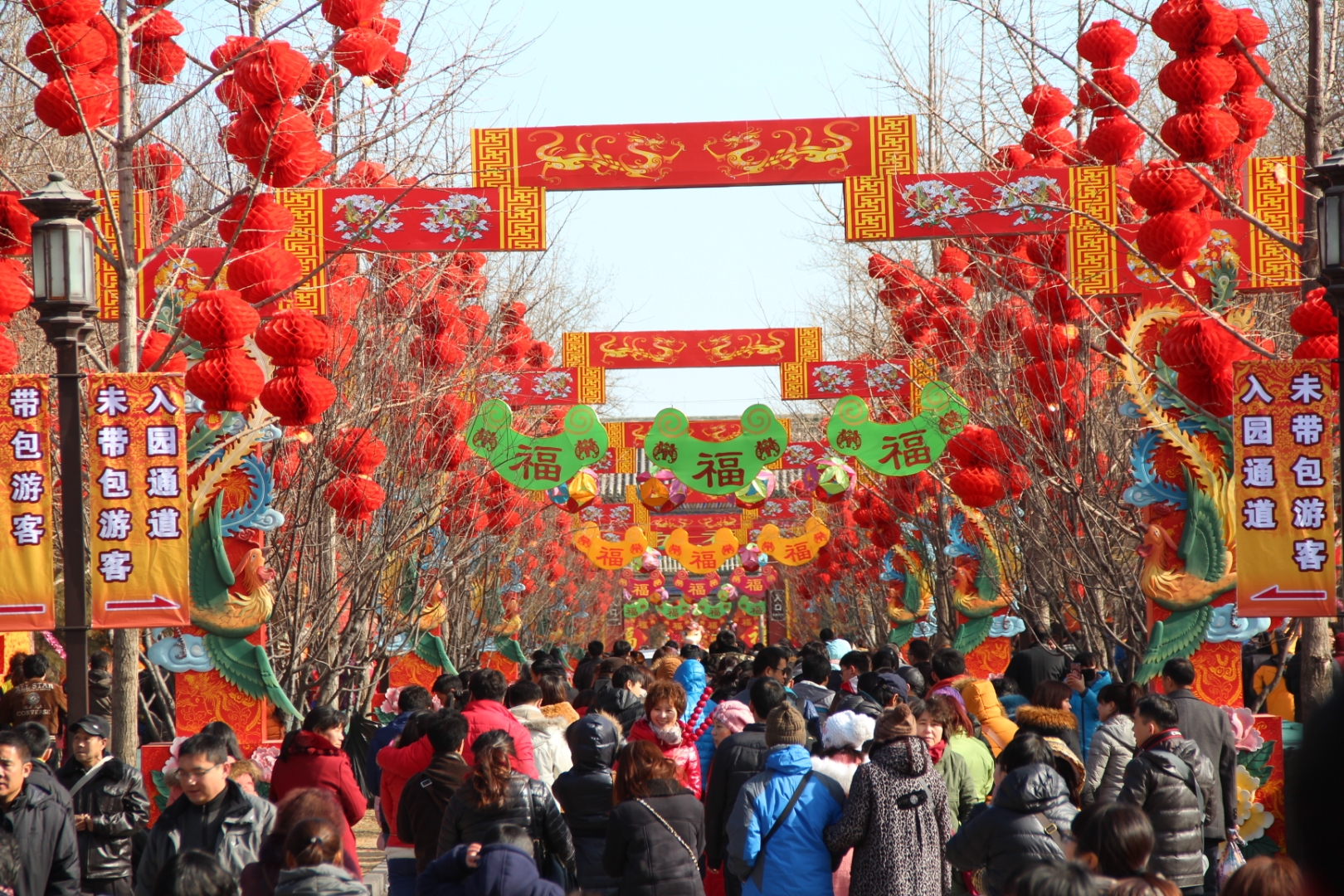 各地庙会的照片图片