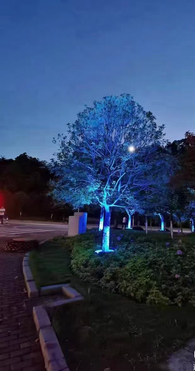 照树灯,为城市增光添彩