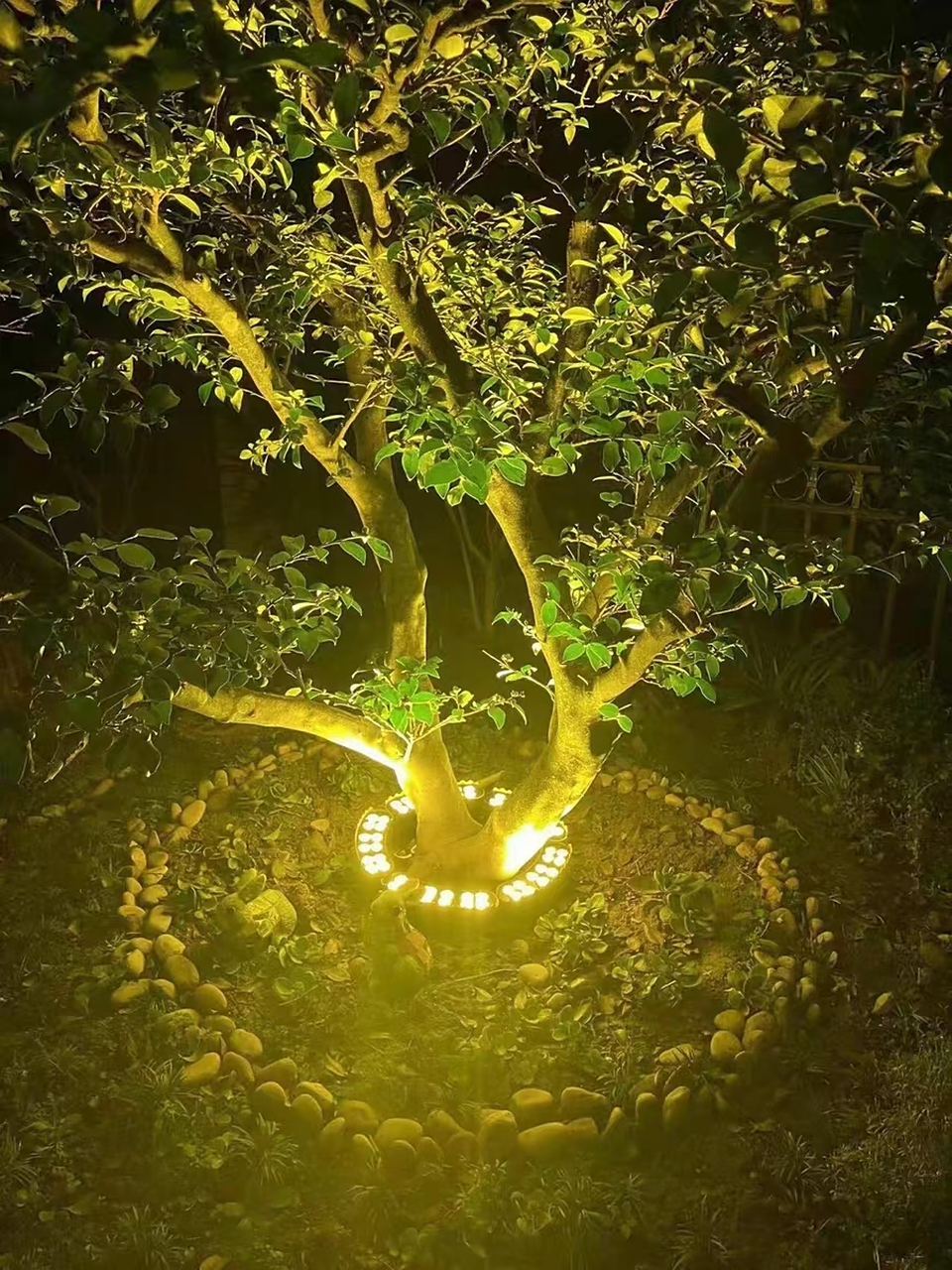 照树灯,为城市增光添彩