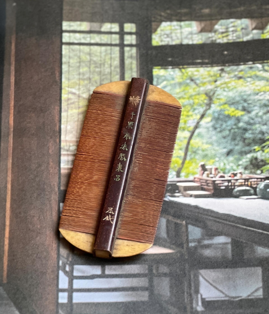 青果巷(9):梳篦是中国古代八大发饰之一.