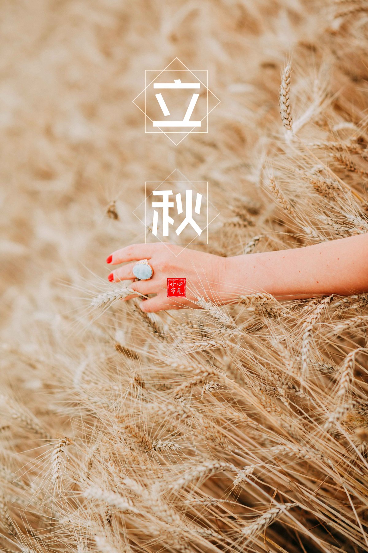 《立秋有怀》 暑气渐消秋意萌,梧桐叶底动蝉声
