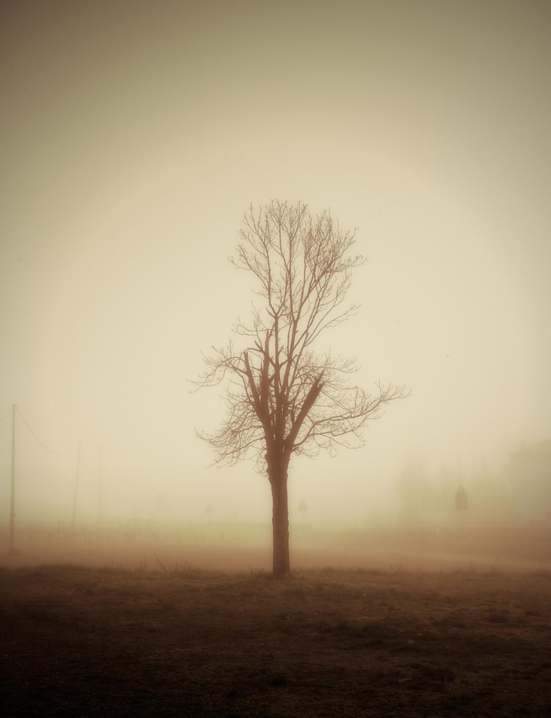 她劝年轻人别学她,应做该做年纪的事,莫像她日后陷入孤独无助