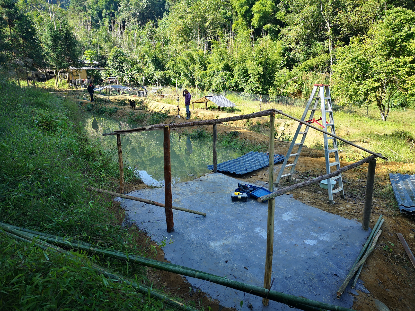 看着鸭棚慢慢崭露头角,我忍不住会心一笑,仿佛已看到那些毛茸茸的小