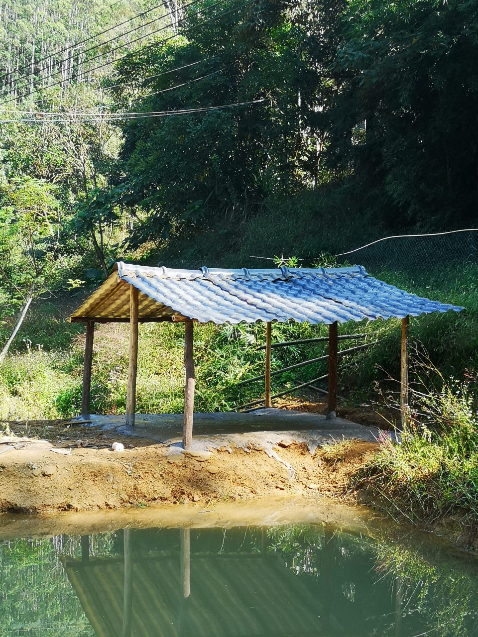 趁阳光明媚,在这宁静的午后,我在院子里着手搭建临水鸭棚,让小鸭子们