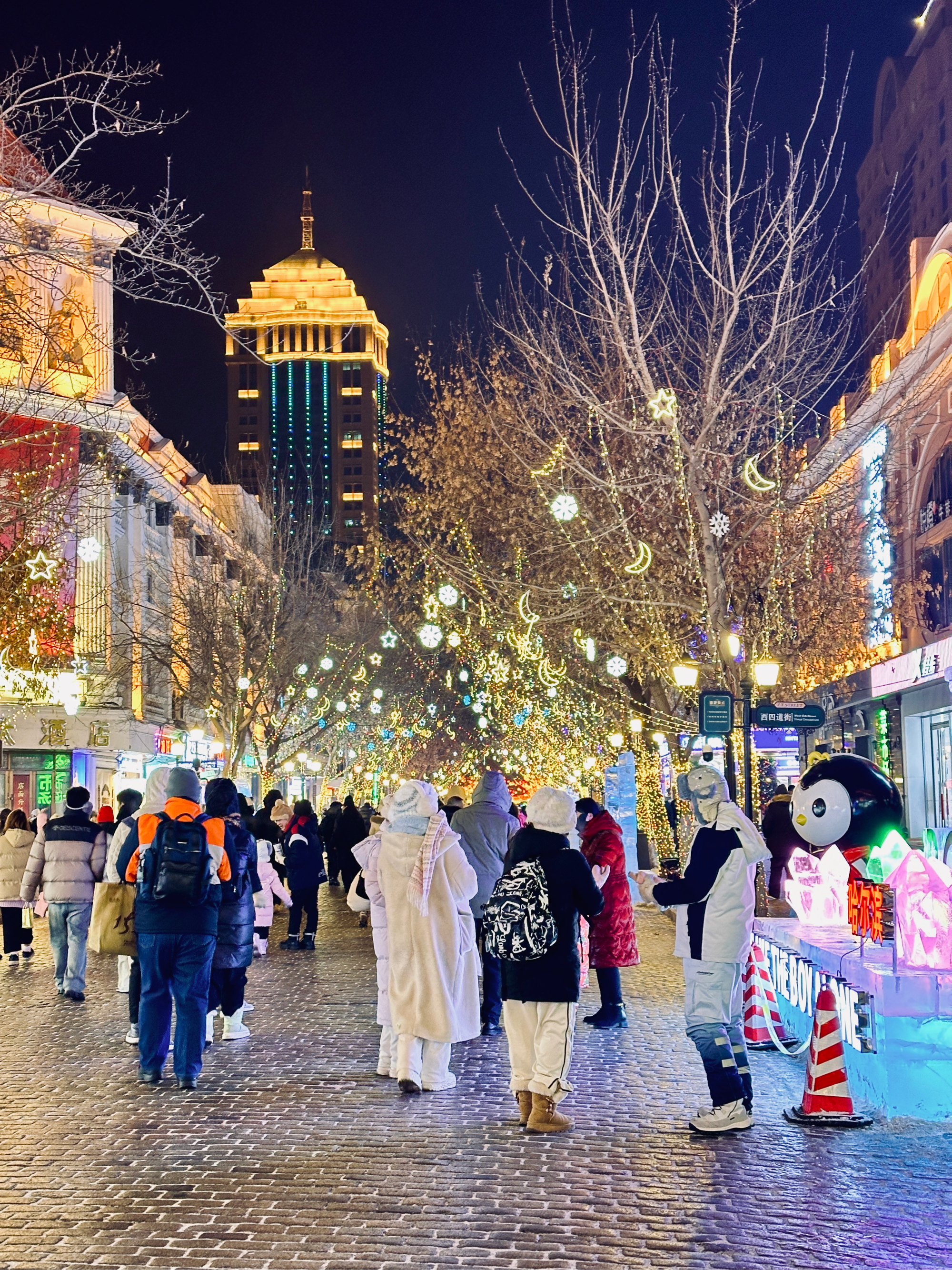 哈尔滨照片 夜晚图片