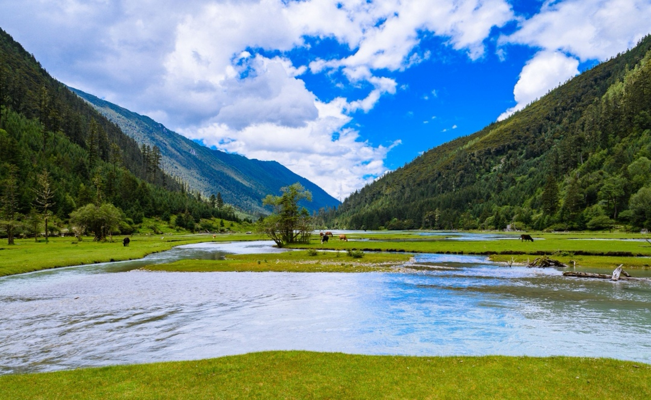 四川的十大湖泊(海子): 1,泸沽湖:位于盐源县与云南省宁蒗县交界处