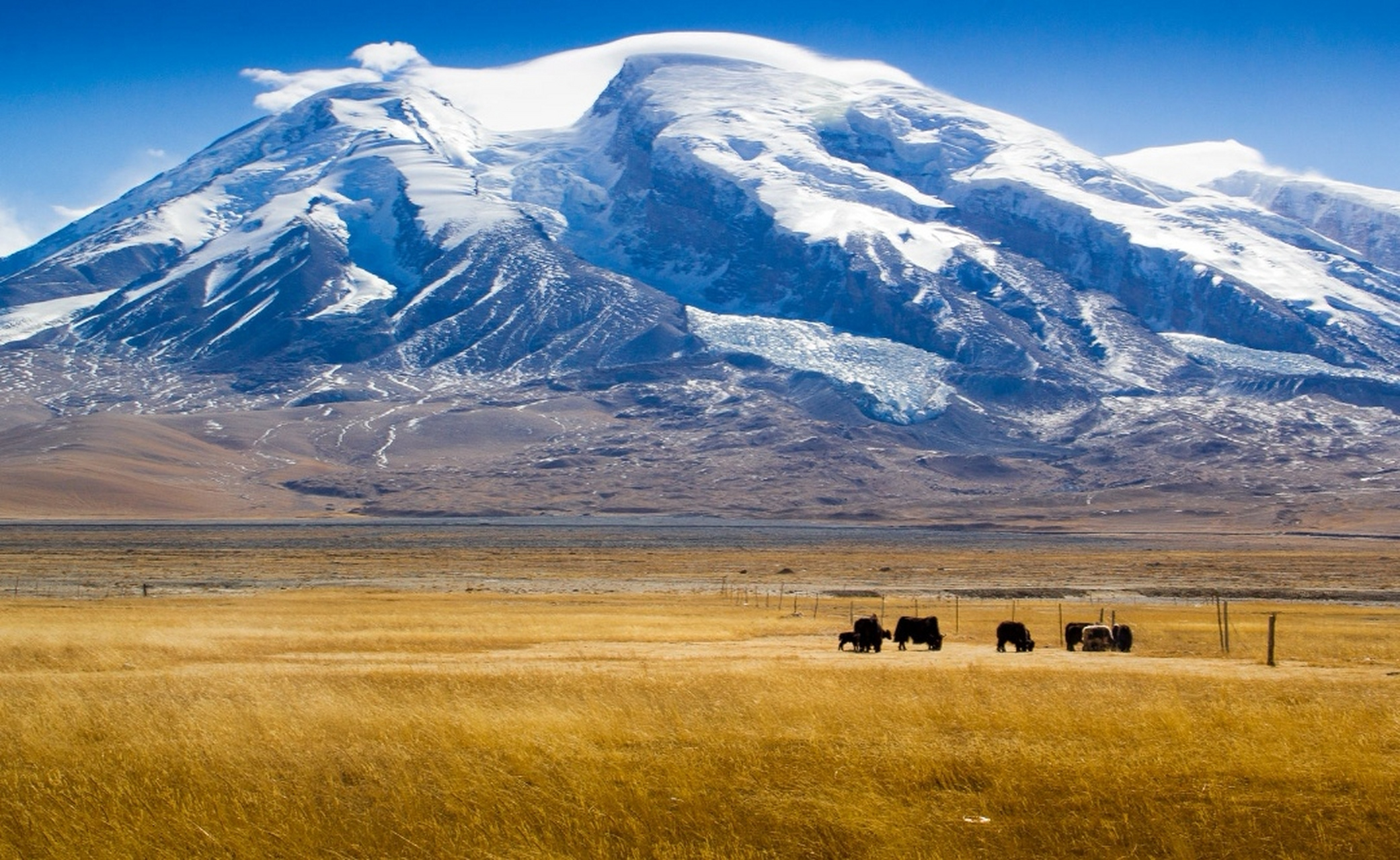 中国十大最美雪山: 1,珠穆朗玛峰:海拔8848.