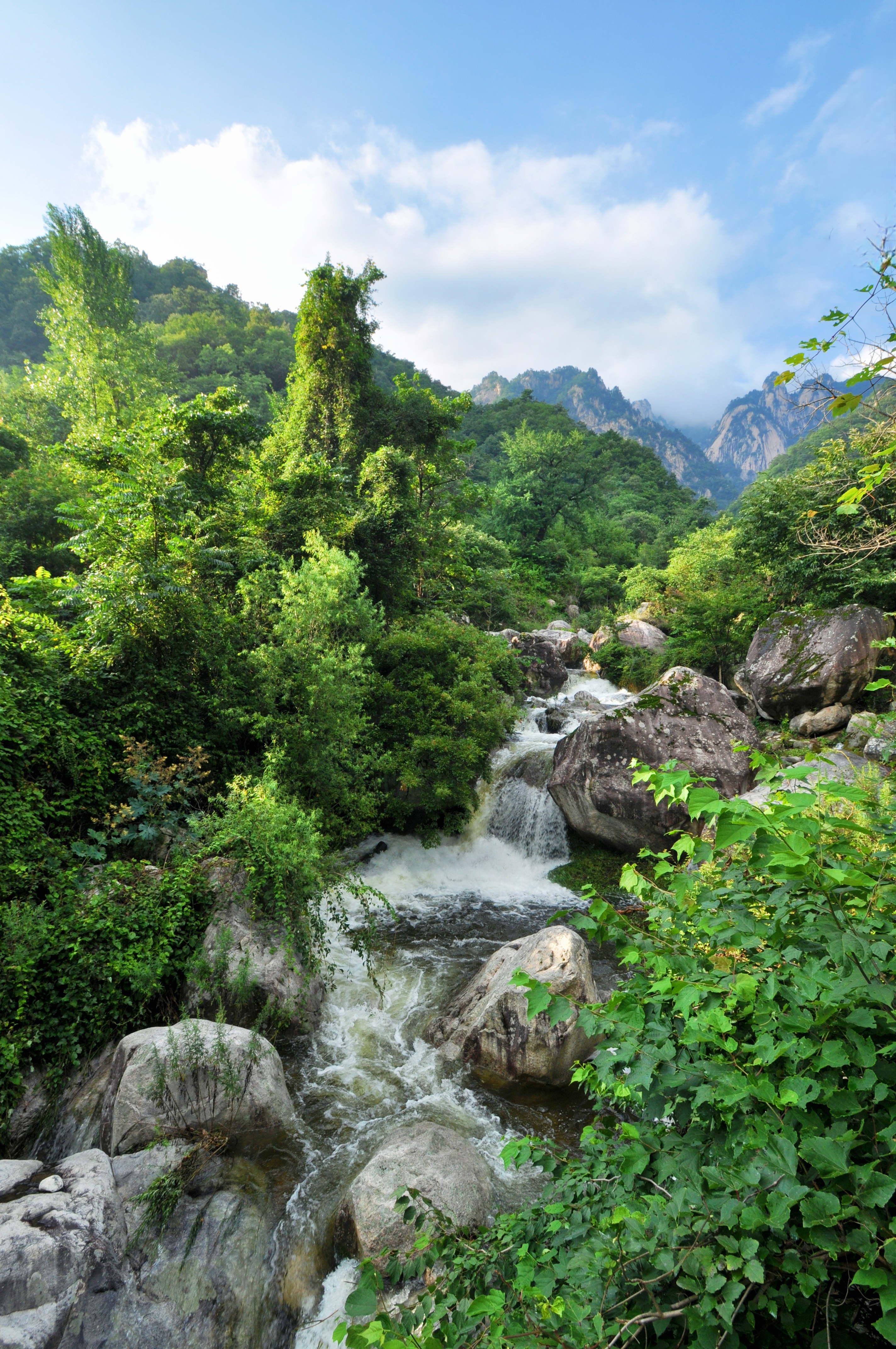 嵩县白河图片