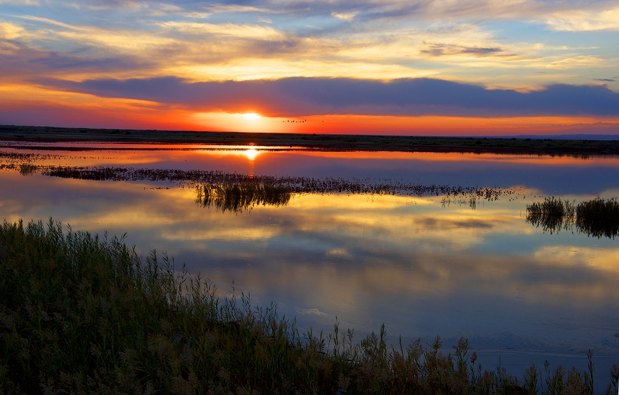 新疆的十大湖泊: 1,喀纳斯湖:位于阿勒泰地区布尔津县,湖面海拔1374米