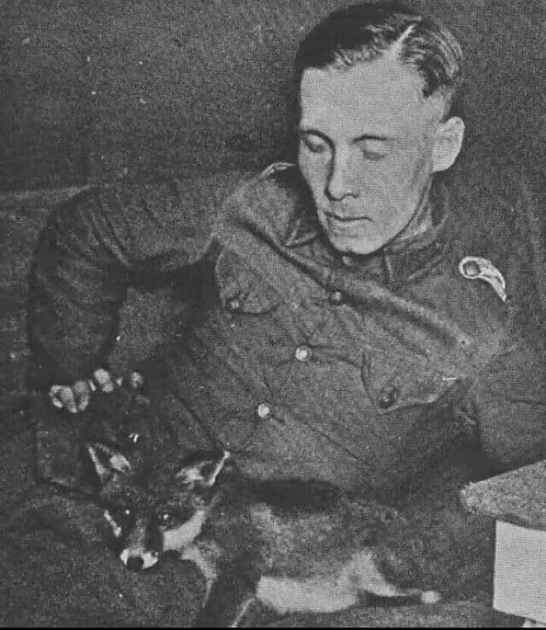 1917年,年轻的隆美尔和他的狐狸(也有说是1915年,但更多标注为1917)