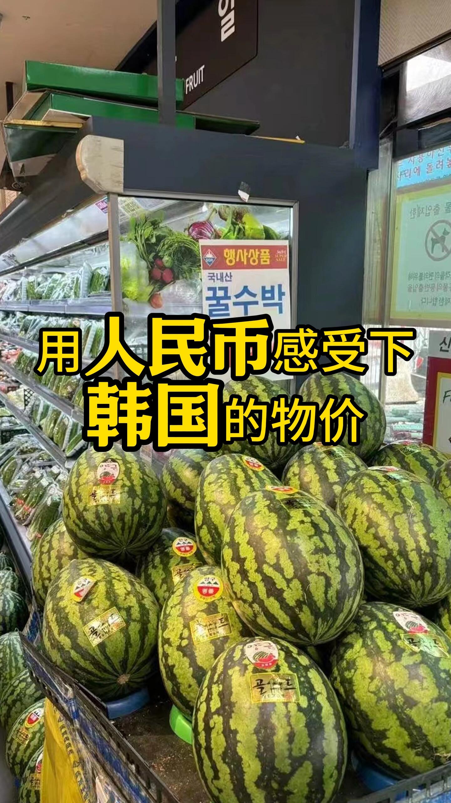 包含shib币是从韩国做起来的么的词条