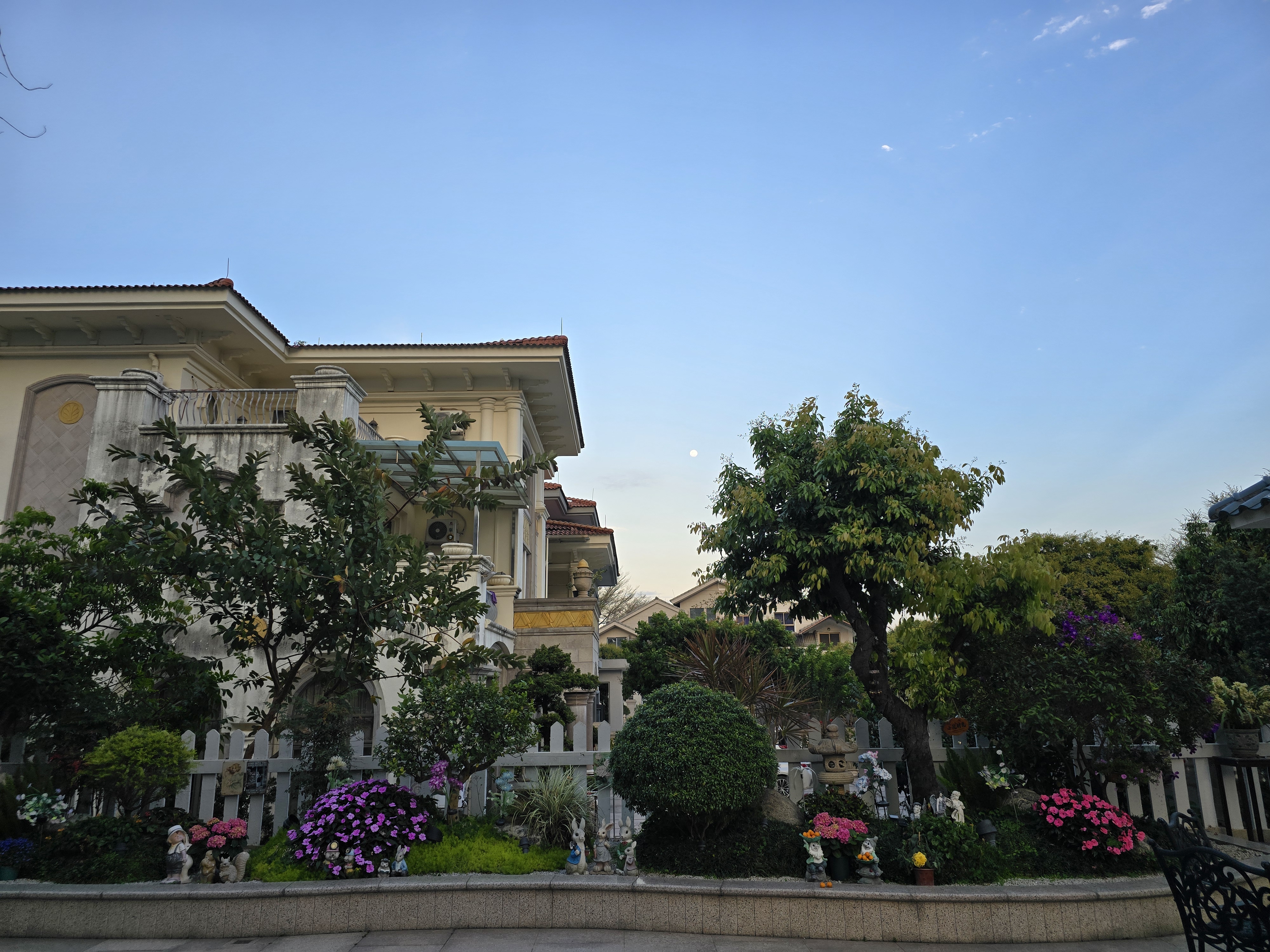 鸟儿们唱歌,花儿继续开