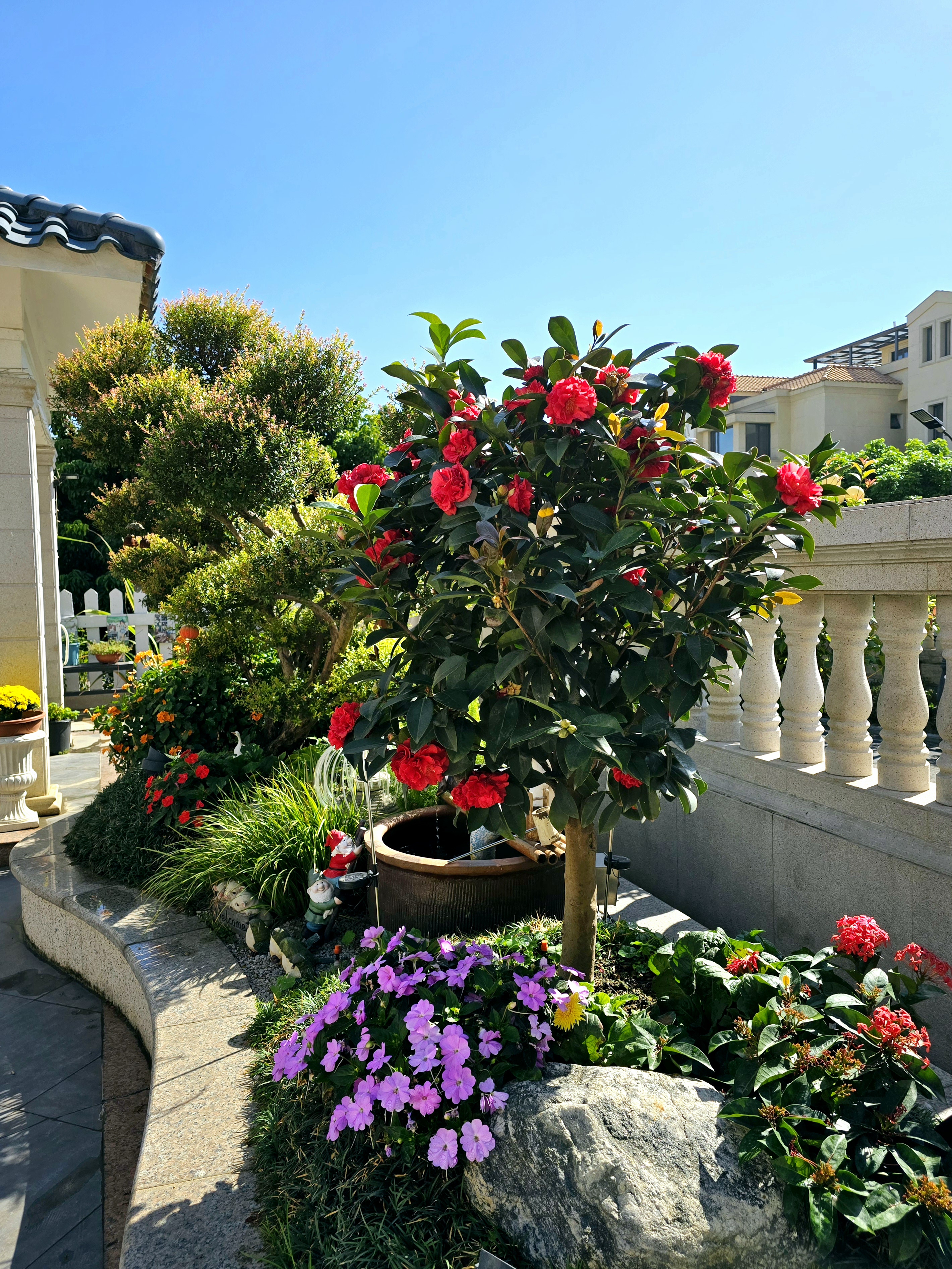 高中低种植的花草,矮树类和较高树木,可移动盆栽,进行组合,颜色搭配