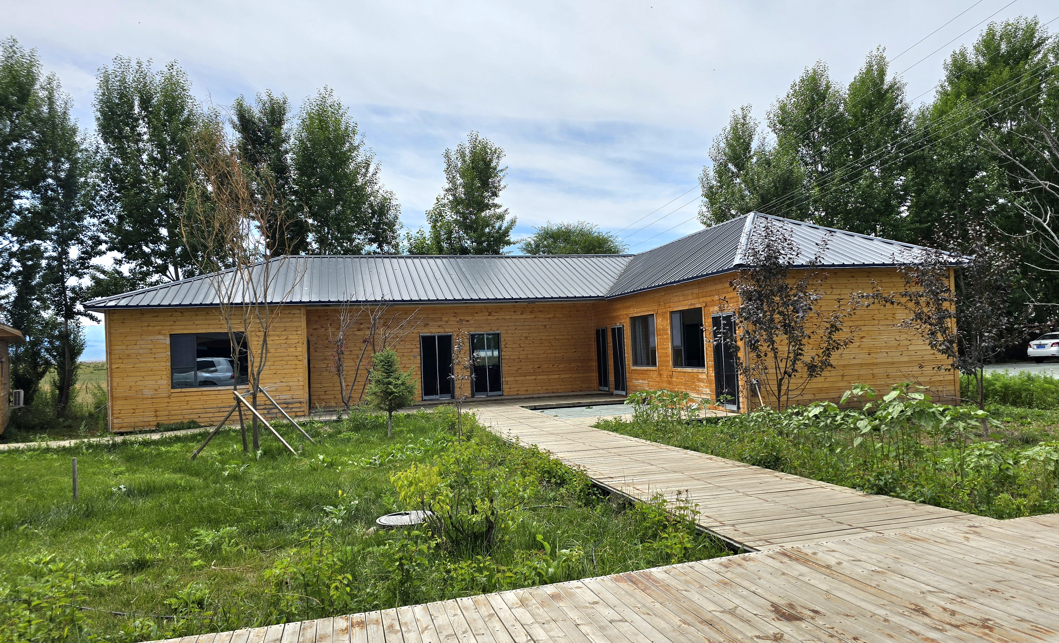 路边民宿吃午餐,老板亲自烤的羊肉串串,清蒸比目鱼非常