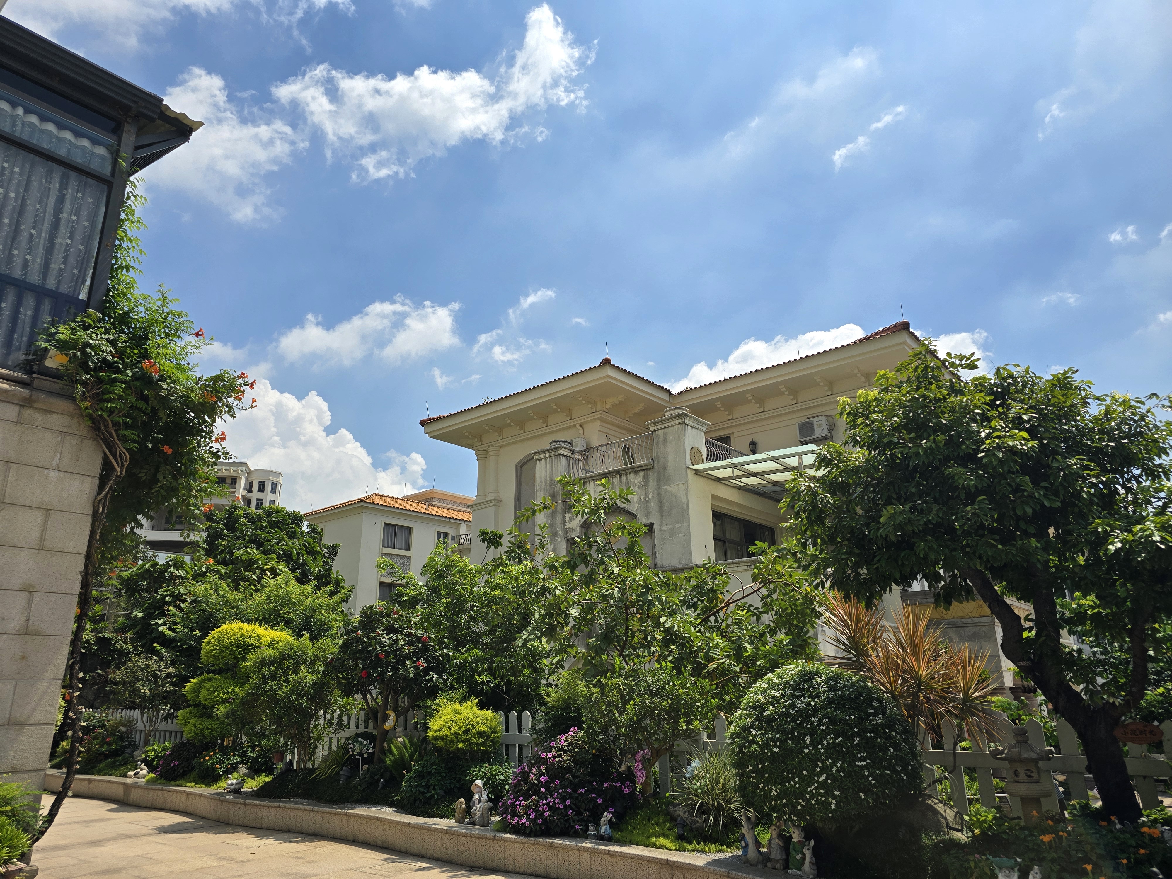 午餐,早上在家做好打包:西洋菜猪骨汤,白灼菜心和罗