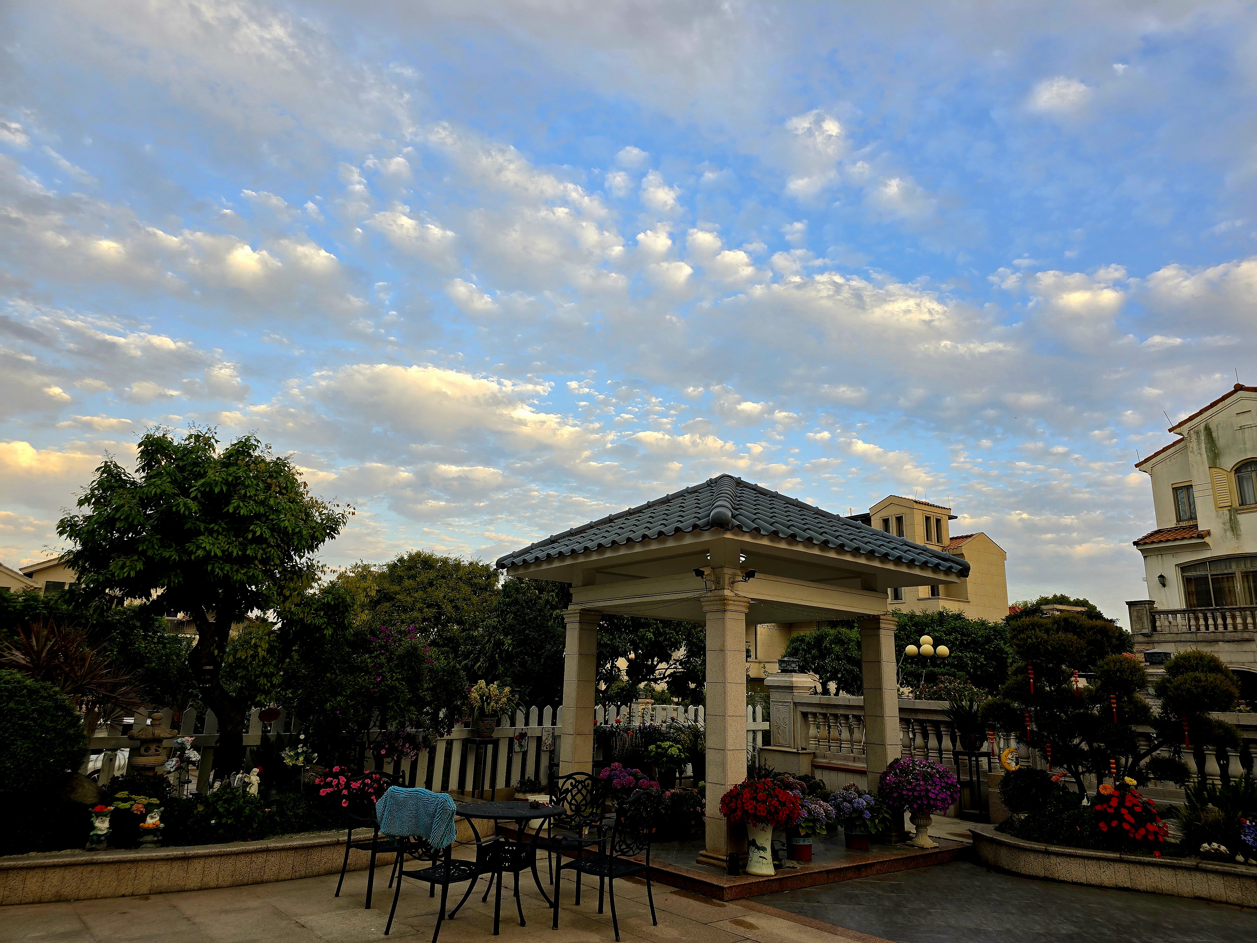 早春热情如夏天,傍晚25度,粉蓝色天空飘着如飘絮般