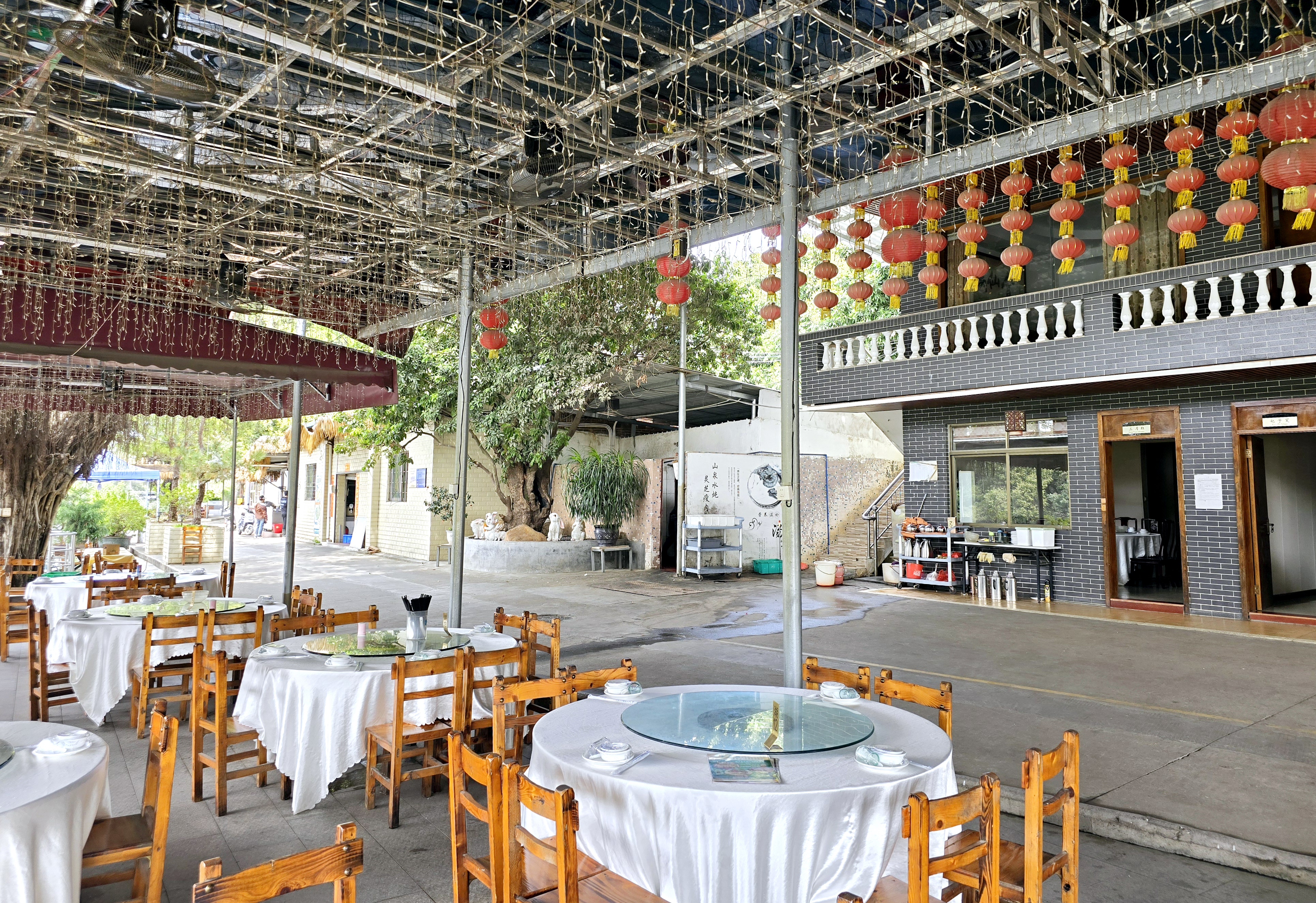 二月初二龙抬头,阳光灿烂28度,上午驾车到郊区百花古