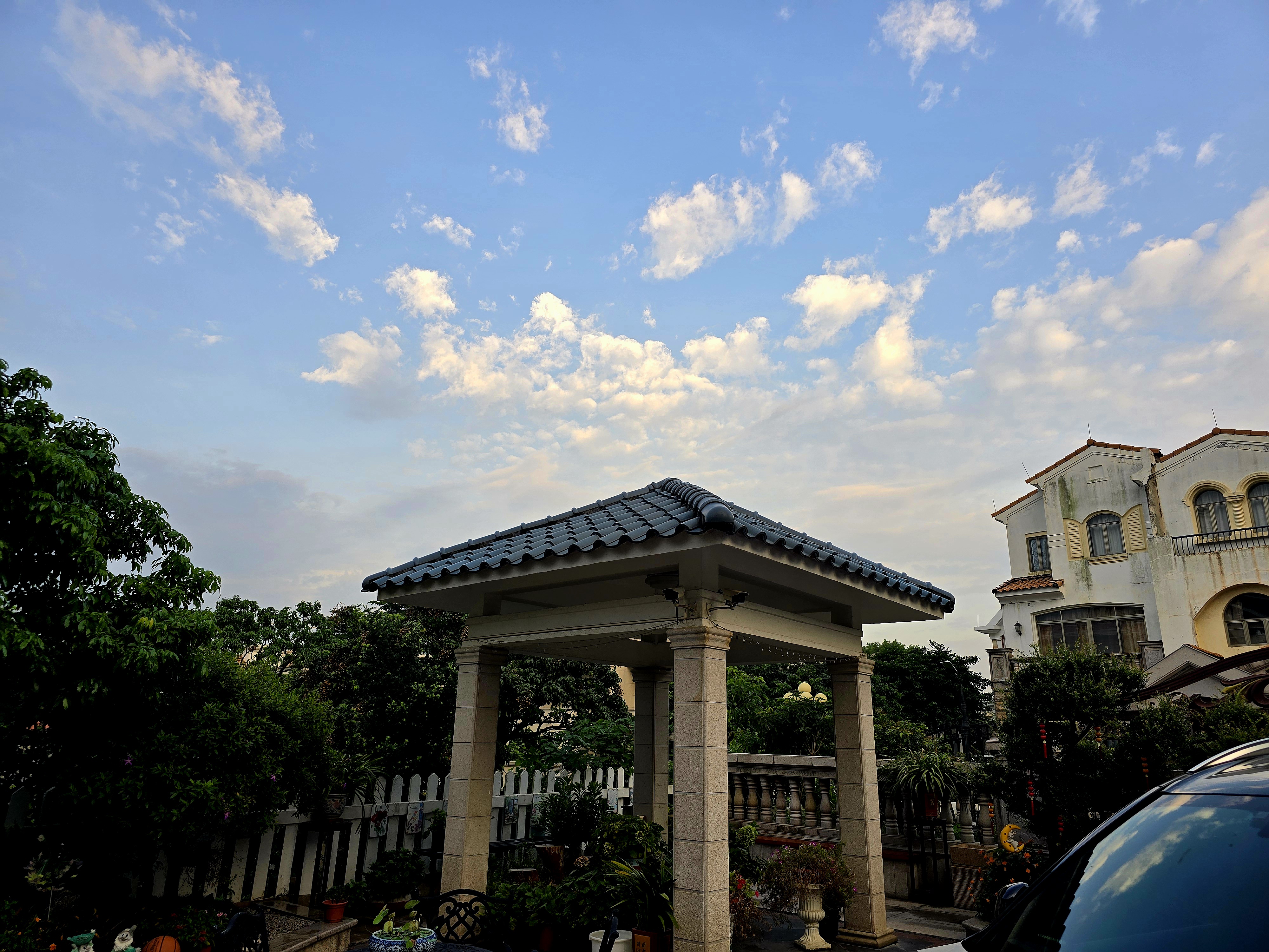 广府晚餐,四菜一汤:羊肚菌炖鸡汤,白灼有膏罗氏虾