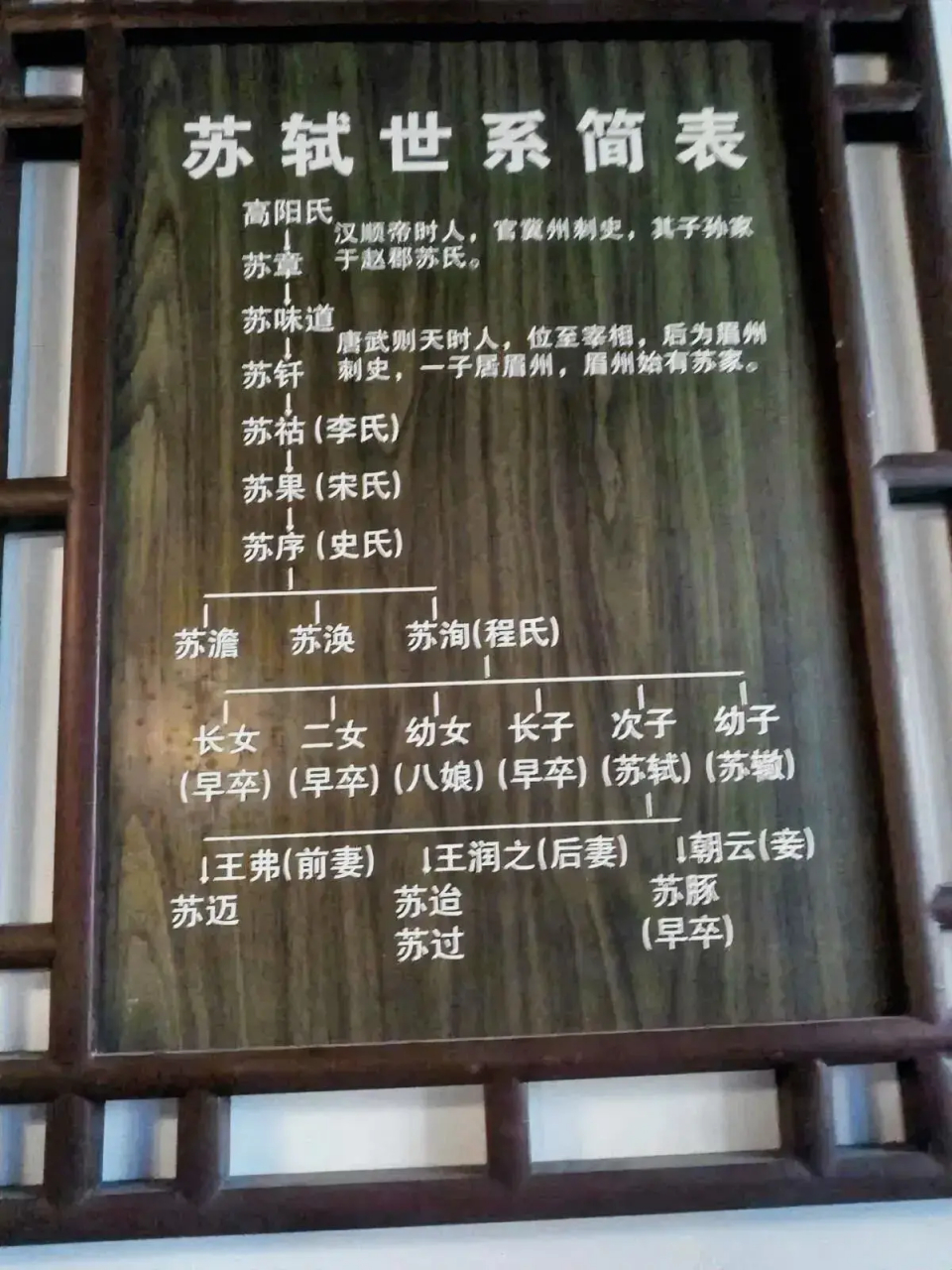 苏氏族谱 字辈图片