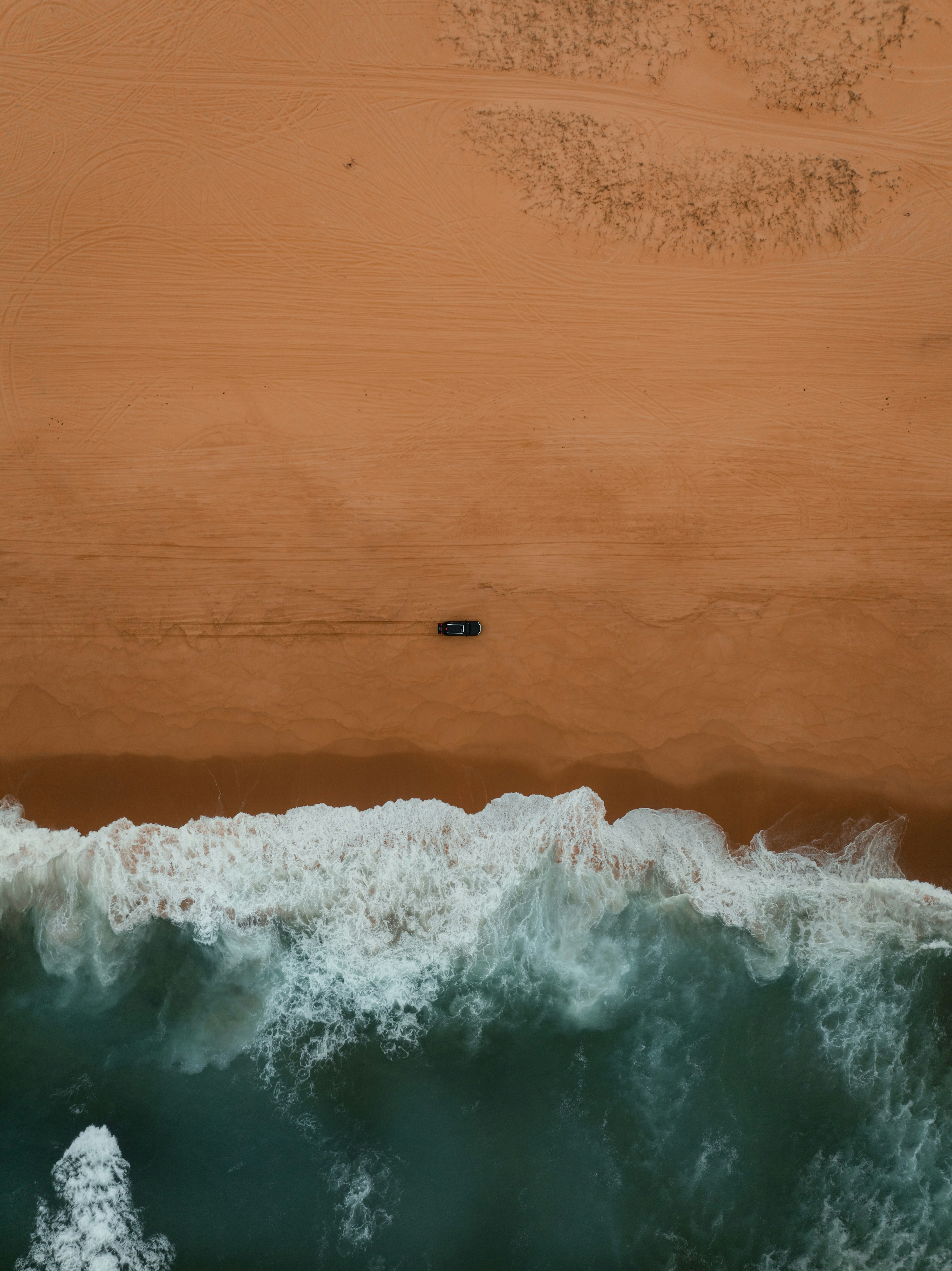 老农民10招土方法,不用仪器就知道土地情况!