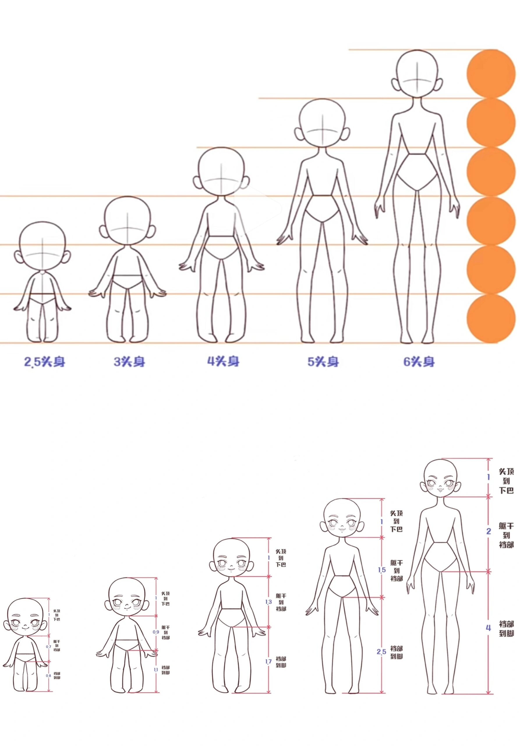 人物比例参照图