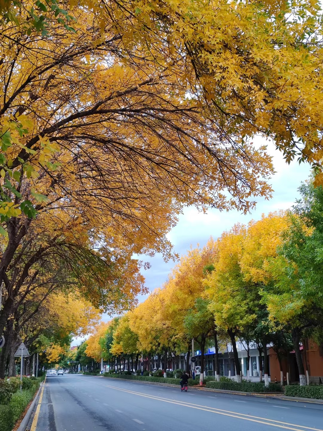 忍不住又发塔城的美景,但是我真的是实景拍摄,油画塔城秋天风景就是