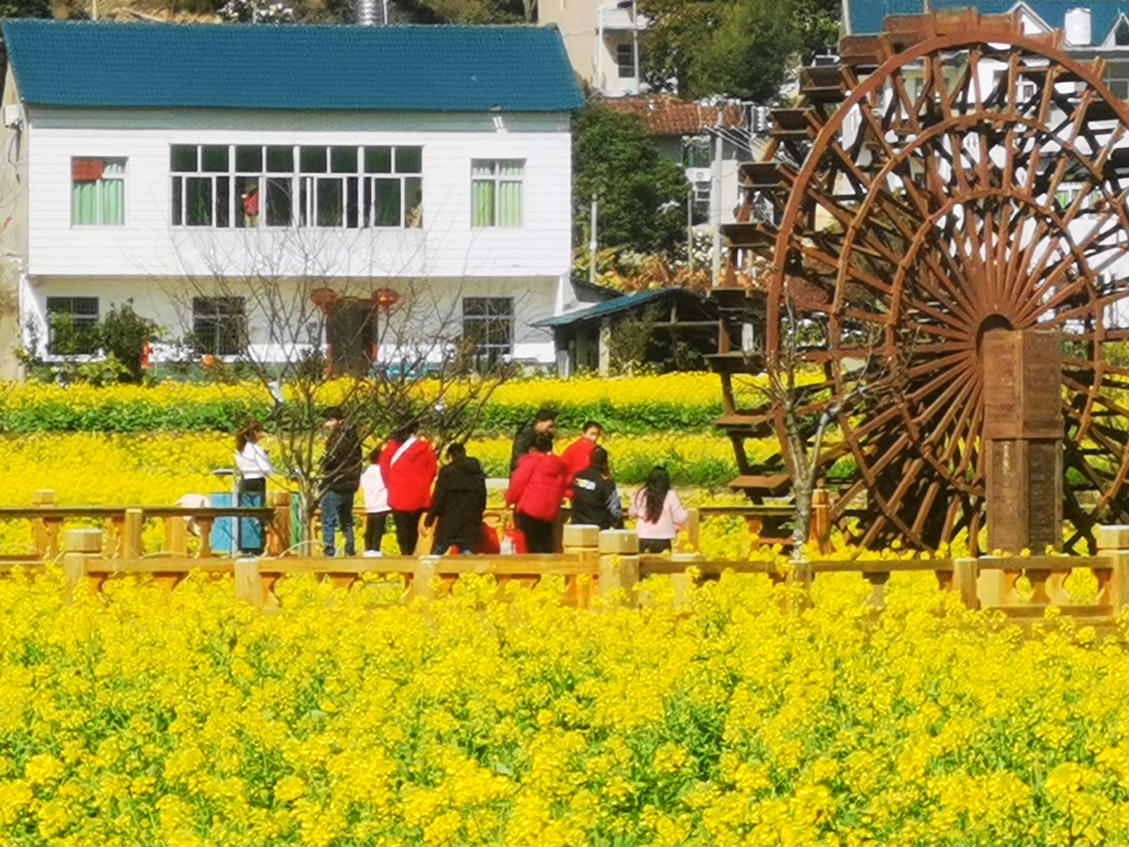 一年一度的坪盘村油菜花盛开了,吸引了成千上万的游客到这里赏花之旅.