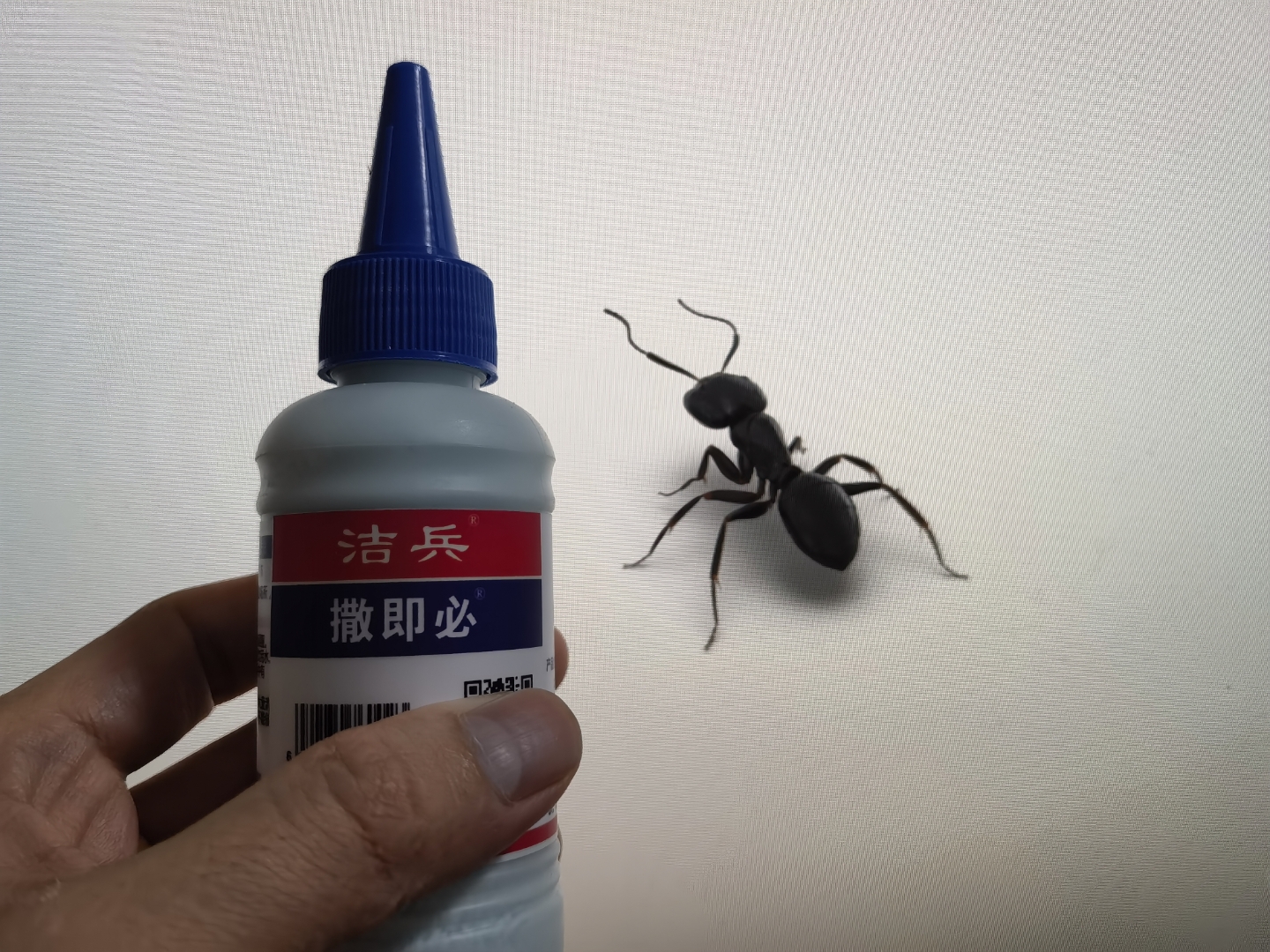 蚂蚁bt用不了怎么办_蚂蚁bt下载引擎