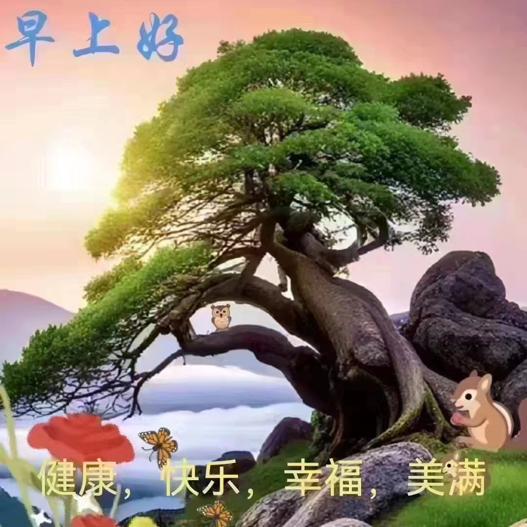 和谐美好的画面图片