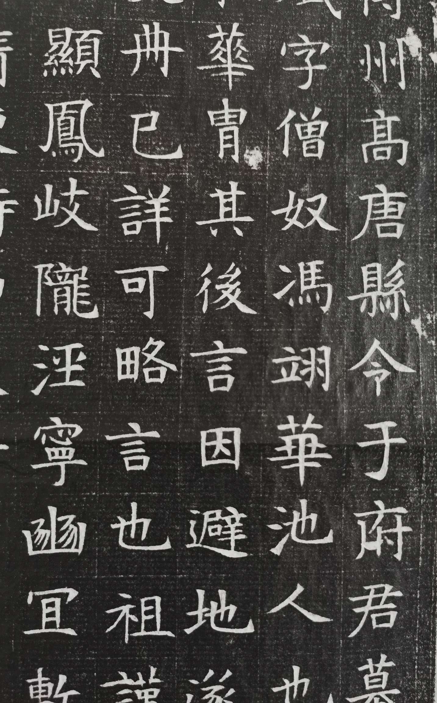 隋代高唐县令于斌墓志铭赏析