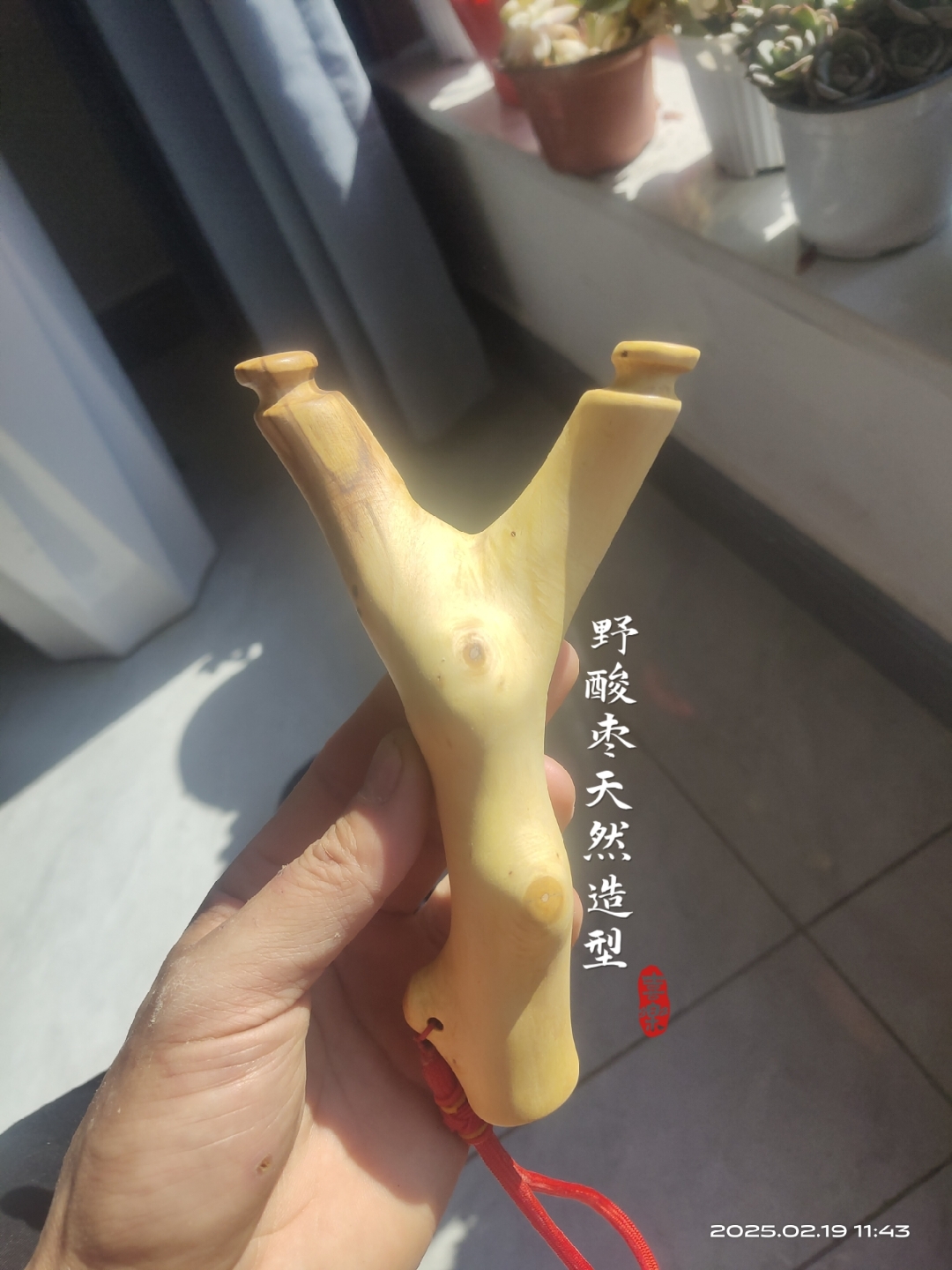 "天然造型酸枣木弹弓叉#弹弓# ,忍不住晒一晒!"#弹弓户外