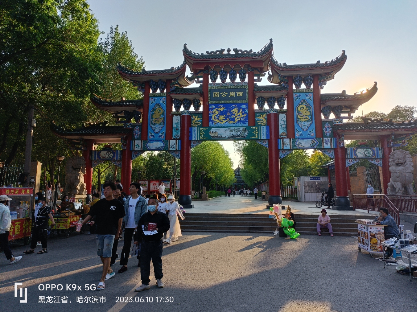 哈尔滨市呼兰区西岗公园有亚洲最大的仙人掌.