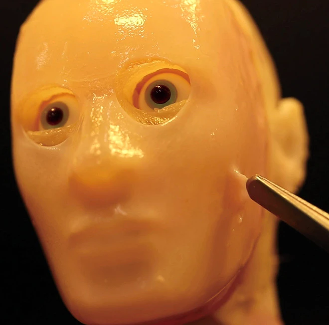 日本最近开发的机器人面部具有专门的粘合剂结构,该结构将其无机体